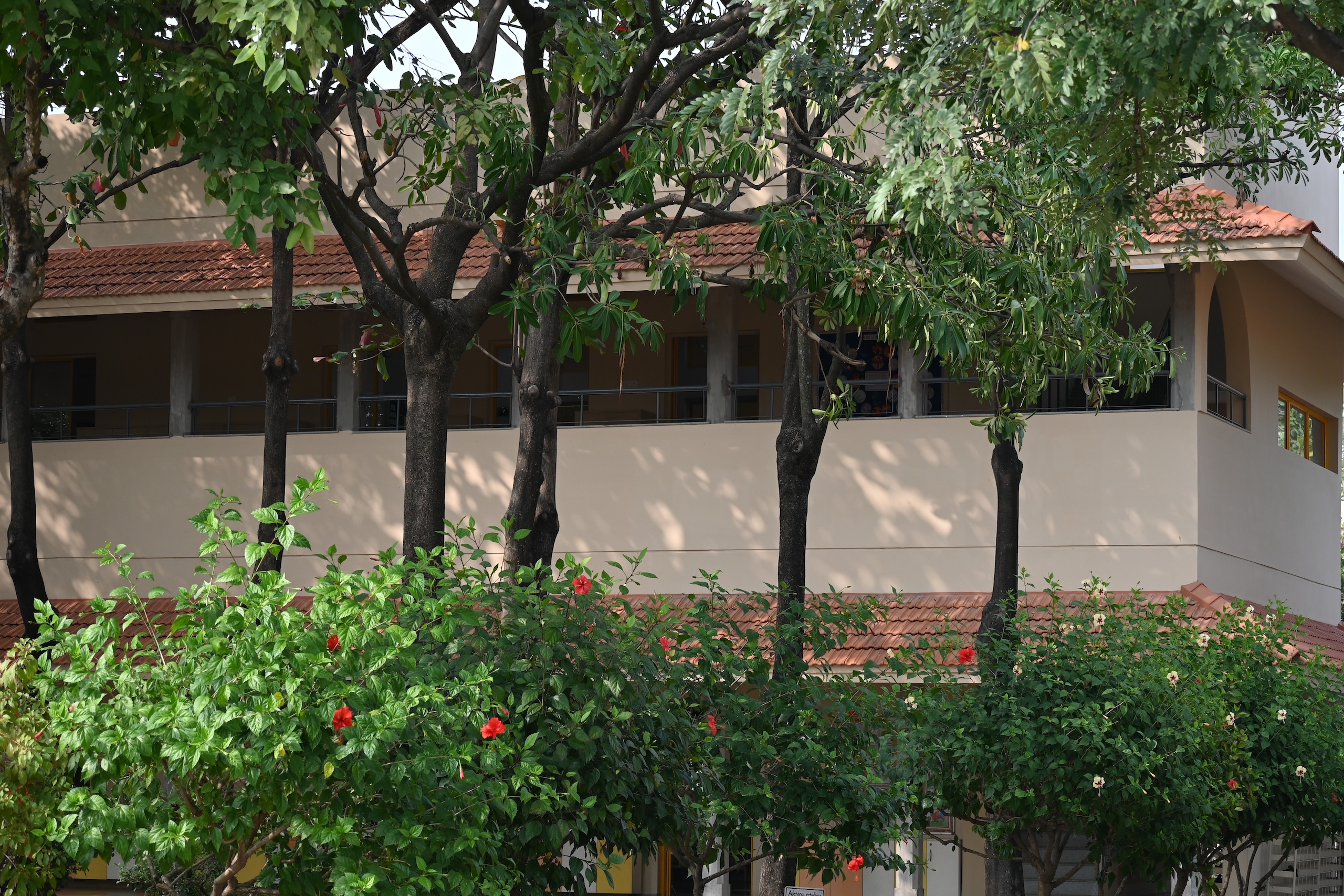 image (4)